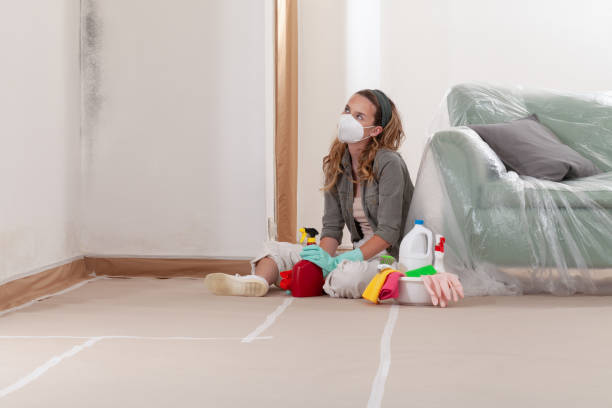 Reliable Black Mold Remediation contractor in Argyle, TX by 24 Hour Mold Removal